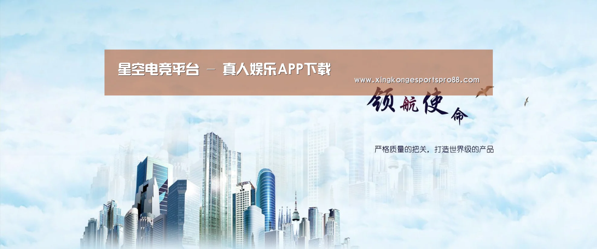 星空APP公司