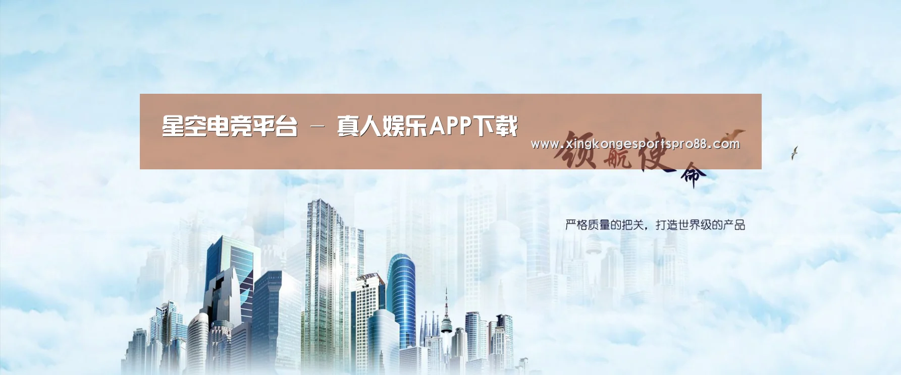 星空APP公司