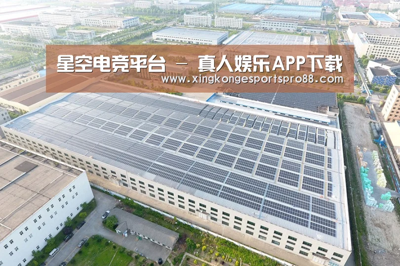 案例展示一