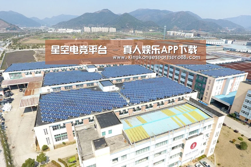 案例展示二