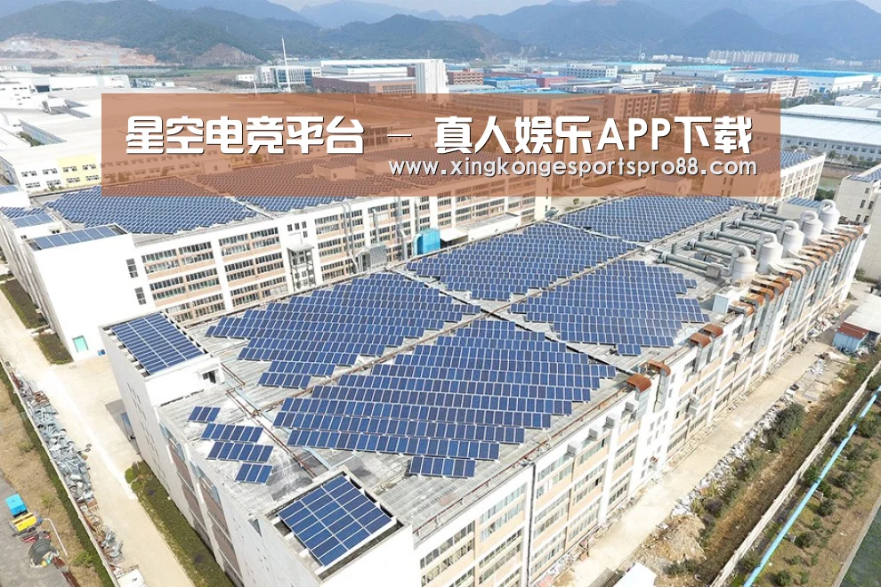 案例展示三