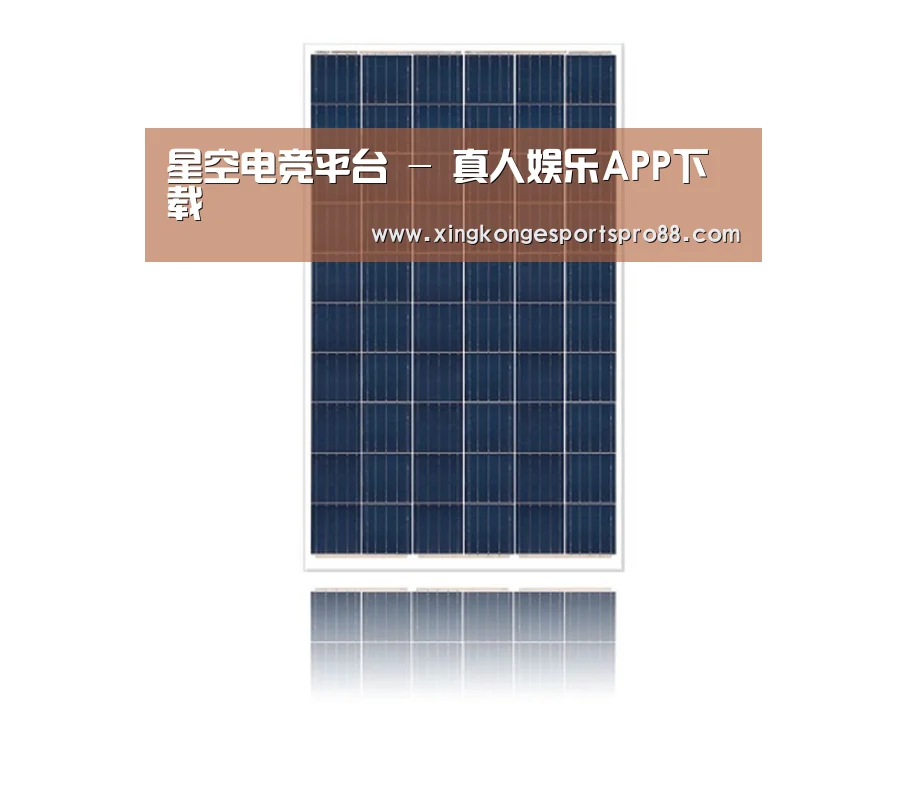 产品名称一