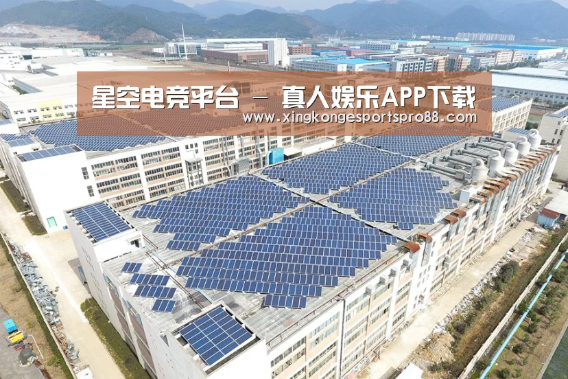 案例展示四