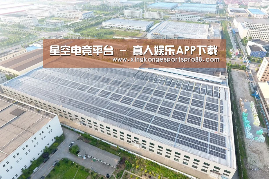 案例展示二