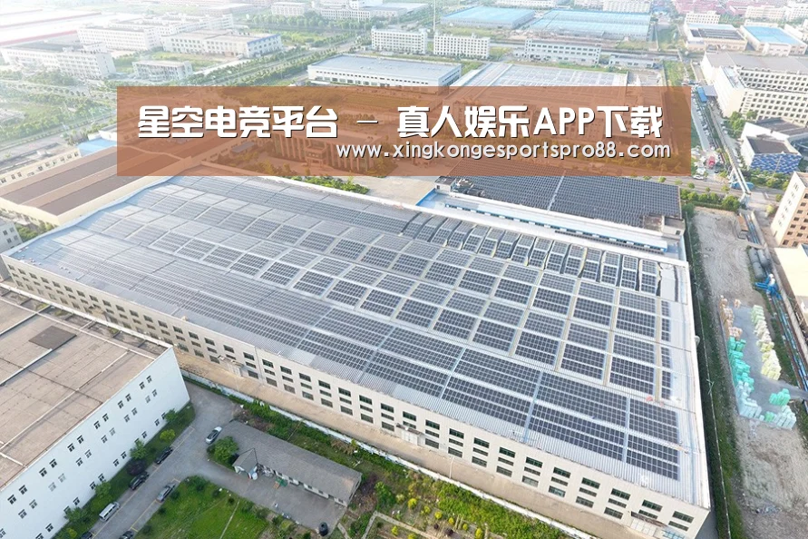案例展示三
