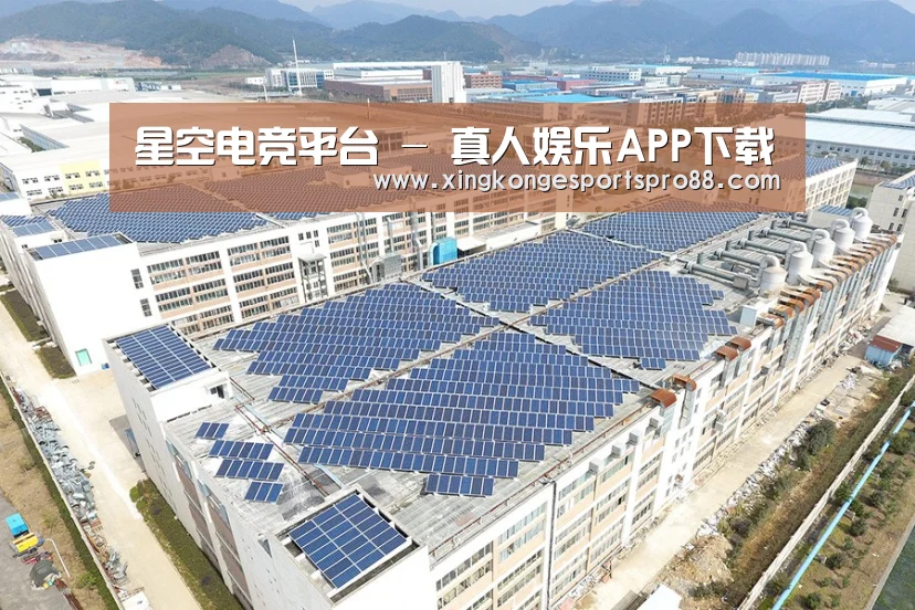 案例展示四