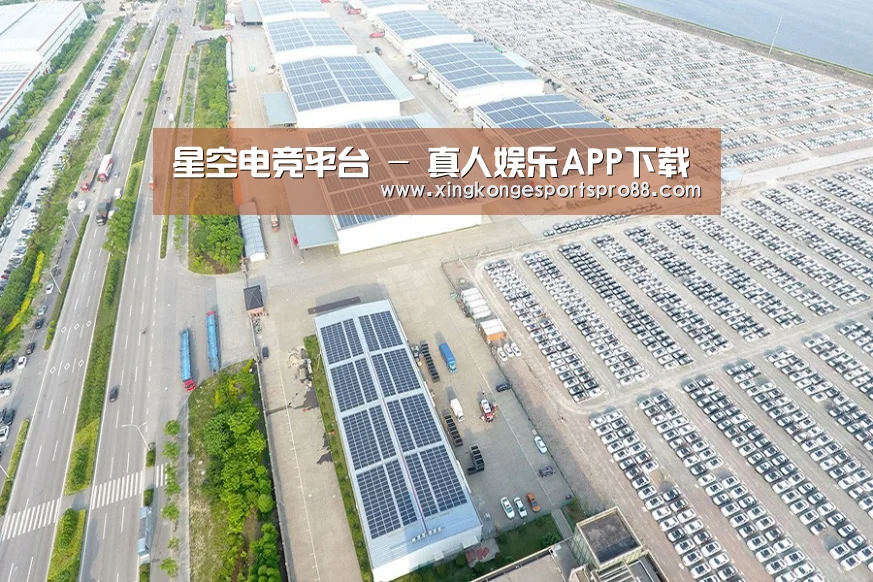 案例展示四