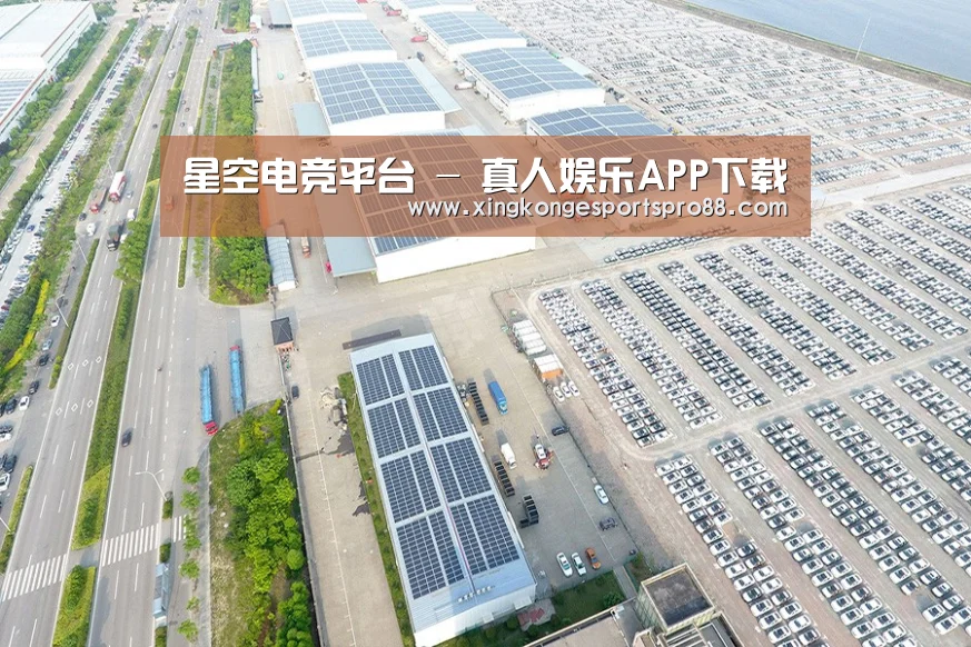 案例展示三