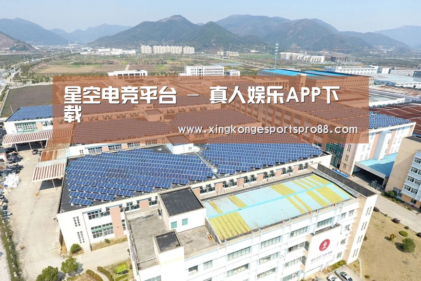 案例展示三