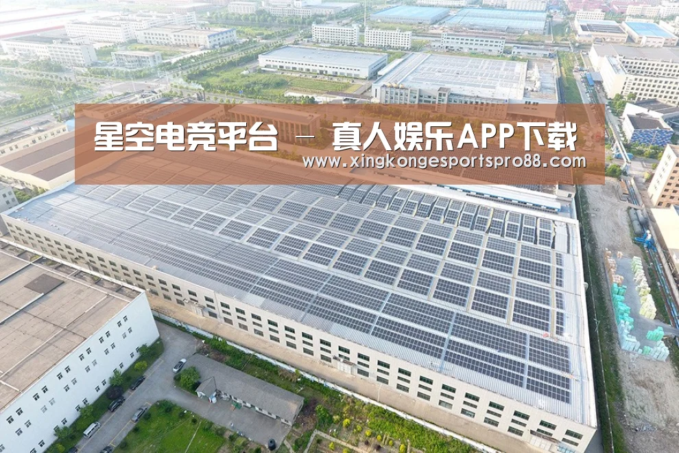 案例展示四