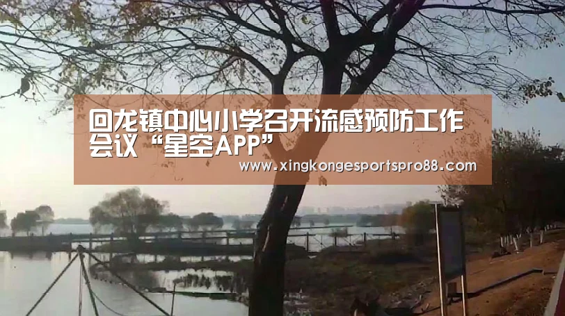 回龙镇中心小学召开流感预防工作会议“星空APP”(图1) 星空官网