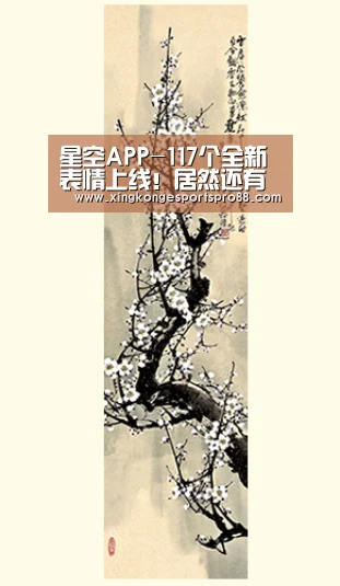 星空APP