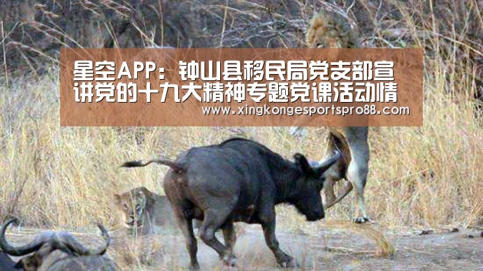 星空APP:钟山县移民局党支部宣讲党的十九大精神专题党课活动情况(图4) 星空APP