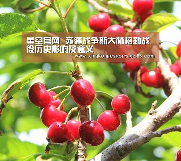 星空官网-苏德战争斯大林格勒战役历史影响及意义(图1) 星空官网