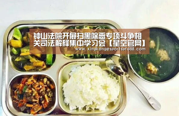 钟山法院开展扫黑除恶专项斗争相关司法解释集中学习会【星空官网】(图2) 星空体育
