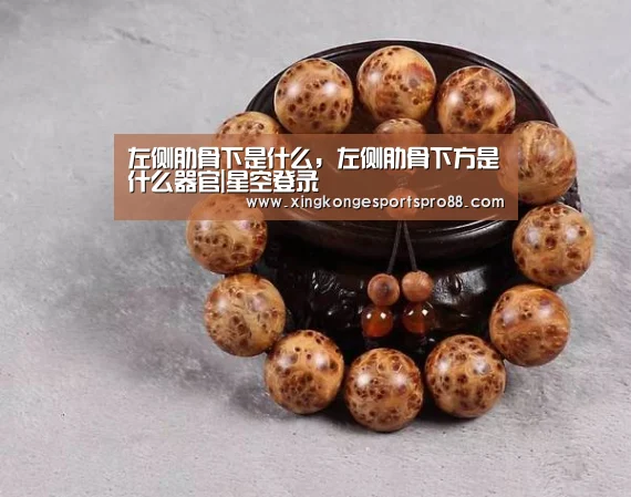 左侧肋骨下是什么,左侧肋骨下方是什么器官|星空登录(图1) 星空官网