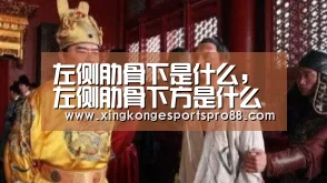 左侧肋骨下是什么,左侧肋骨下方是什么器官|星空登录(图3) 星空APP