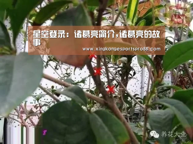 星空登录:诸葛亮简介,诸葛亮的故事(图4) 星空官网