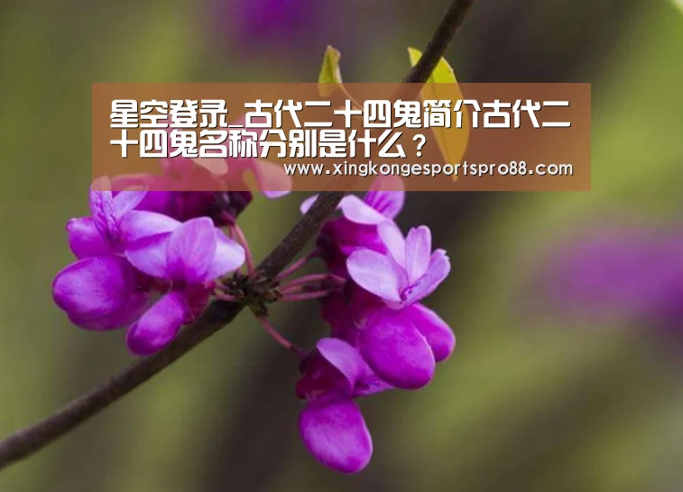 星空官网