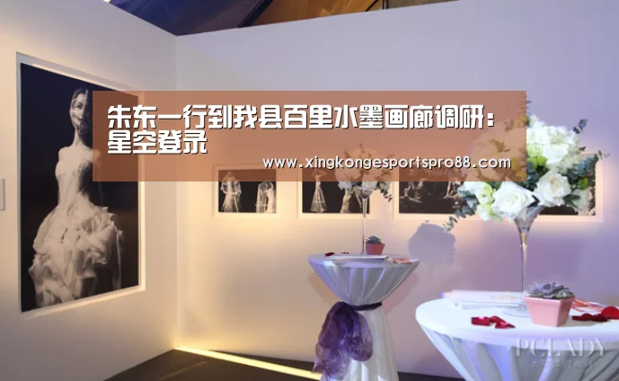 朱东一行到我县百里水墨画廊调研:星空登录(图4) 星空APP