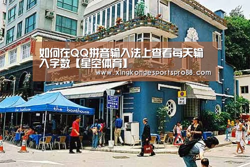 如何在QQ拼音输入法上查看每天输入字数【星空体育】(图2) 星空体育
