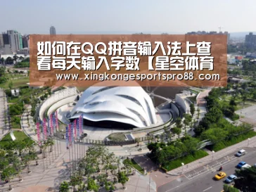 如何在QQ拼音输入法上查看每天输入字数【星空体育】(图3) 星空体育