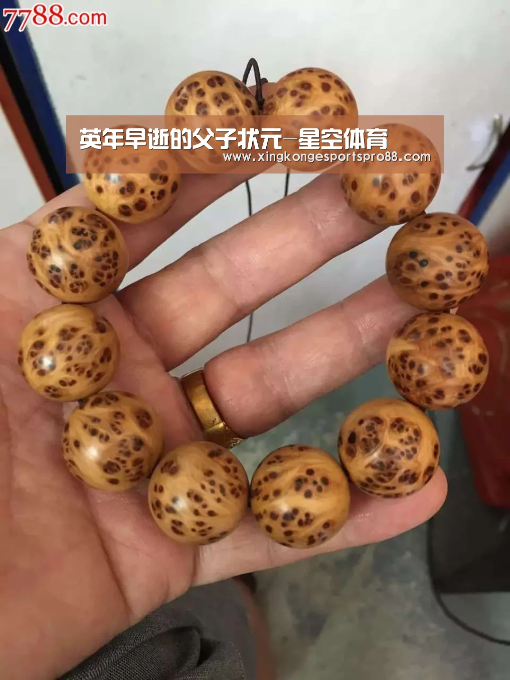 英年早逝的父子状元-星空体育(图3) 星空APP