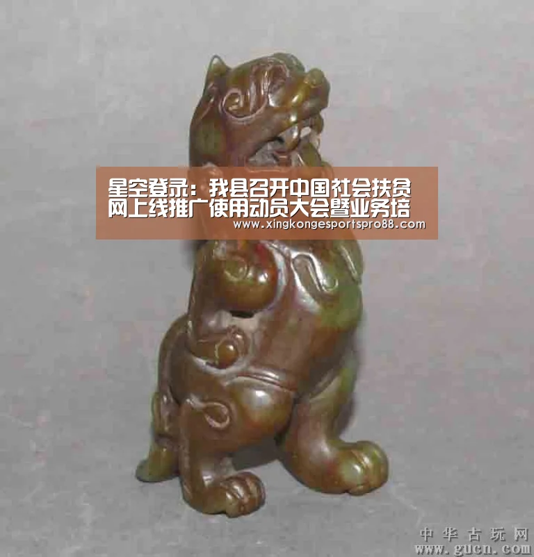星空登录:我县召开中国社会扶贫网上线推广使用动员大会暨业务培训会(图3) 星空体育