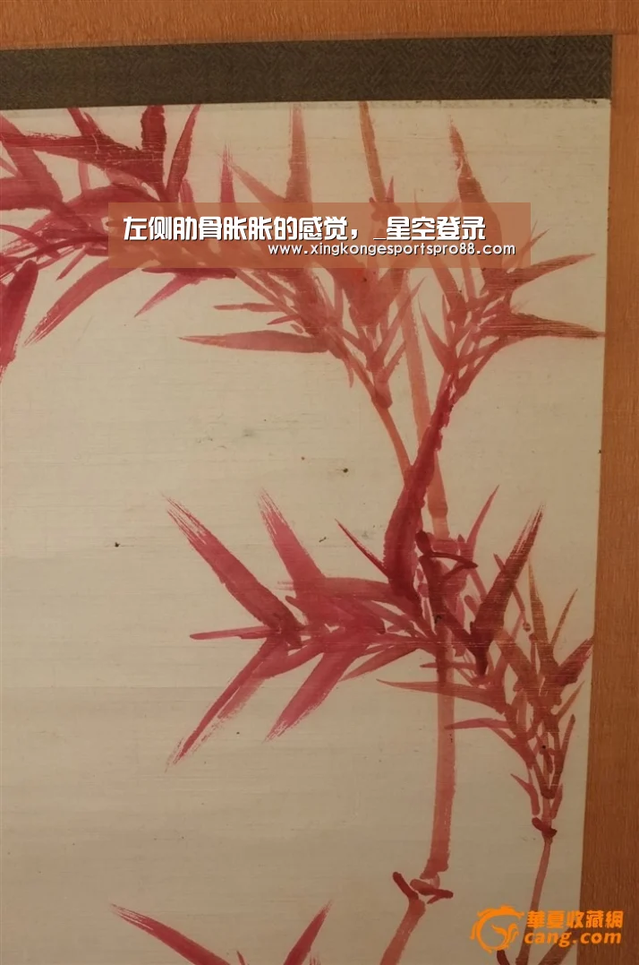 左侧肋骨胀胀的感觉,_星空登录(图1) 星空体育